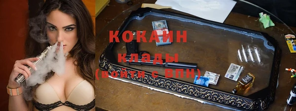 дурь Бородино