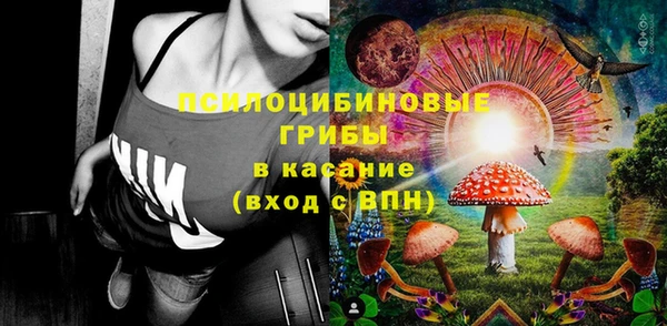 бошки Бугульма