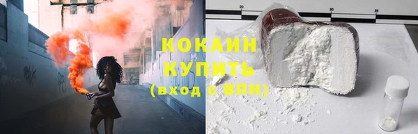 дурь Бородино