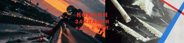 дурь Бородино