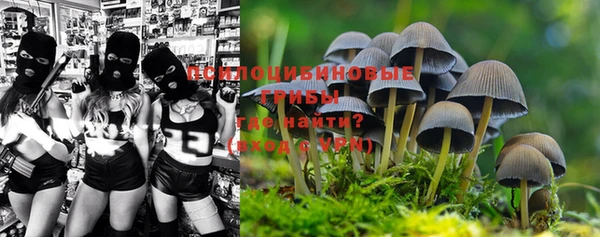 дурь Бородино