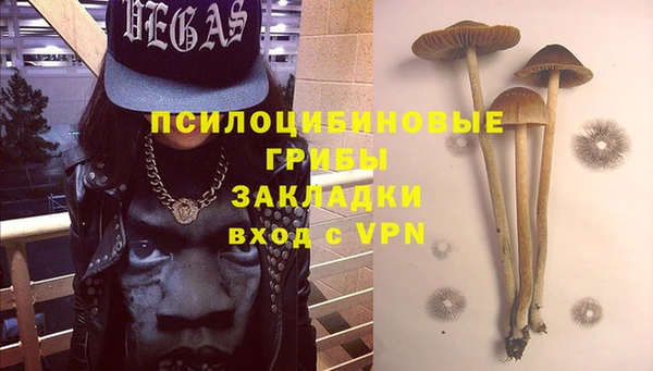 дурь Бородино